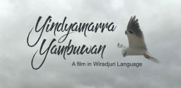 Yindyamarra Yambuwan promo image web