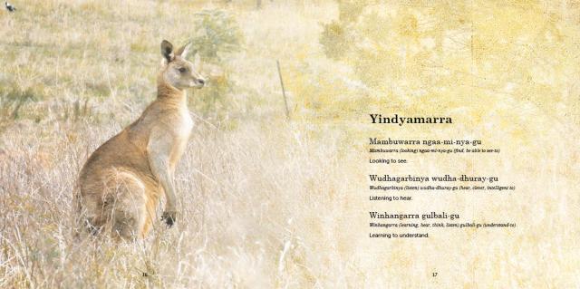 Yindyamarra Yambuwan book_170227B9